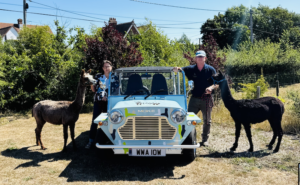 Michelle and Neil Payne with two of their alpaca herd
