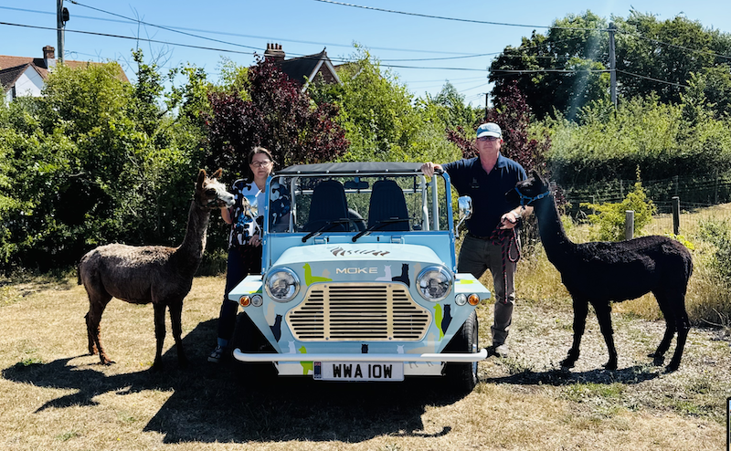 Michelle and Neil Payne with two of their alpaca herd