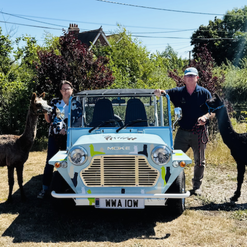 Michelle and Neil Payne with two of their alpaca herd